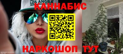 хмурый Новокубанск